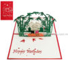 Birthday Pop up Card - BD15