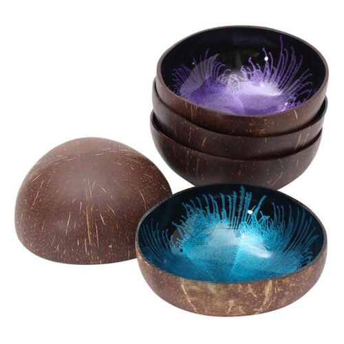 Wholesale Eco Friendly Coconut Shell Lacquer Bowls Natural Serving Bowl Coconut Shell Supplier Vietnam Manufacture CCB63 (2)