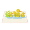 3d Pop up greeting cards manufacture. Good prices and quality